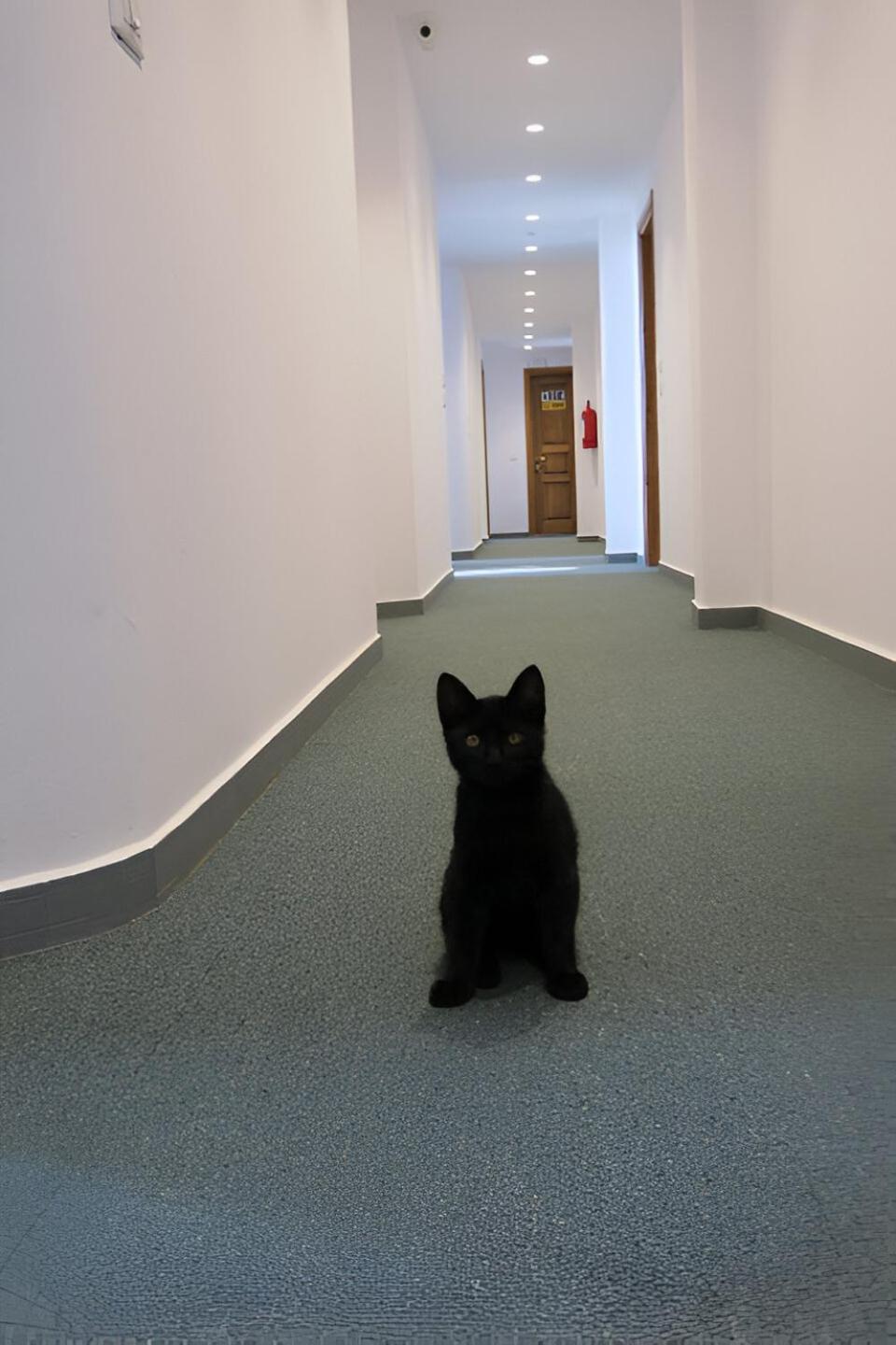 Doko Hotel Radhimë Esterno foto